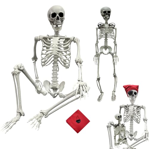 5.4Ft Life Size Posable Skeleton E4997