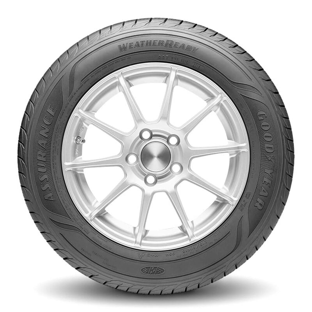 All-Season Tire P321731