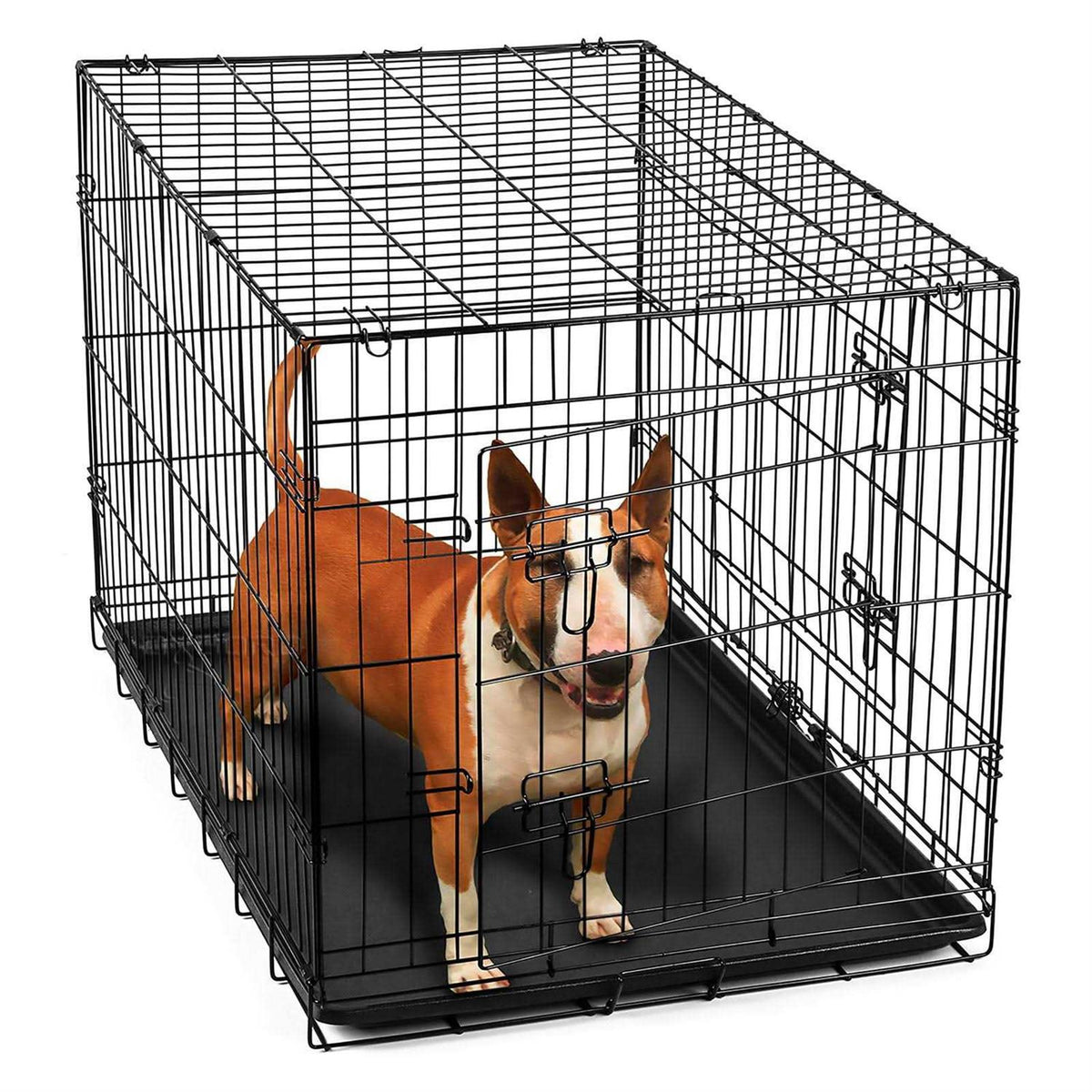 Double-Door Folding Wire Dog Crate J817441